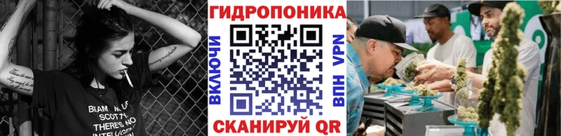 Виды наркотиков купить Курган ГАШИШ  АМФЕТАМИН  КОКАИН  Меф  Канабис 