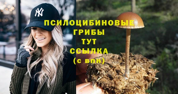 ALPHA PVP Горнозаводск