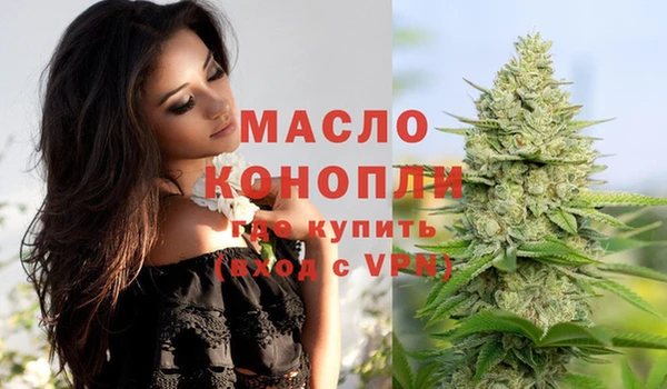 прущие крисы Горняк