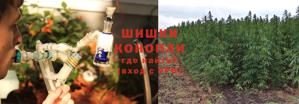 прущие крисы Горняк