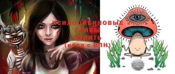ALPHA PVP Горнозаводск
