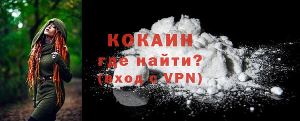 прущие крисы Горняк