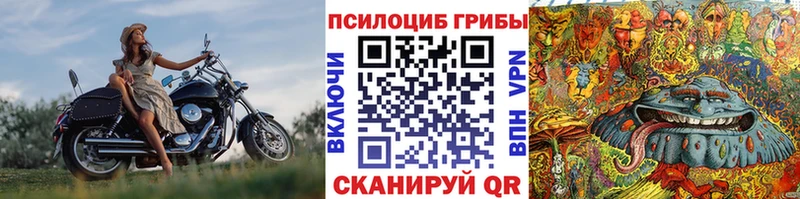 магазин    omg ССЫЛКА  Галлюциногенные грибы мицелий  Курган 